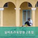 실버트리요양원 네이버블로그
