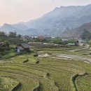 🏔️ 베트남 사파 트레킹｜깟깟마을부터 라오차이·따반마을까지 직접 걸어본 후기