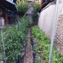 논공현대주유소 이미지