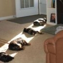 드래곤 파라다이스 짐 이미지