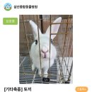 삼산종합동물병원 이미지