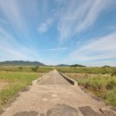 함평 고막천석교 이미지