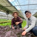 중앙유통농장 이미지