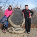 입석초등학교 이미지