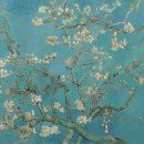 꽃소리BLOSSOM
