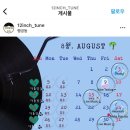 12인치(12INCH) 이미지