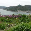쑥섬이야기
