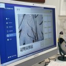 (주)닥터리프 | 위례 탈모관리 제대로 경험한 솔직 후기, 닥터모락 위례점에서 느낀 변화와 관리 과정까지 ㅎㅎ