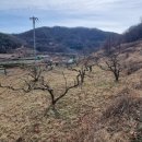 국대농장 이미지