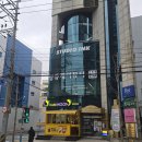 블루밍잉크 | 부산 광안리 셀프 만삭 사진 '스튜디오 잉크' 플랜트룸 반려동물 후기