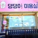 애견미용실 꽃개 이미지