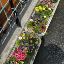 여항보건진료소 이미지