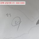 양덕동203 이미지