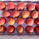 유창농장 이미지