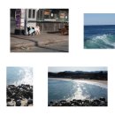 은주네손칼국수 | 제목 뭐하지 ⋆⋆💭