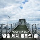 세계평화의 숲 [ 4월6일(일) ] 이미지