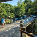 혜심정 | <서울 계곡 백숙 삼겹살 혜심정> 시원한 물놀이 가능한 식당