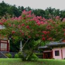 보림사 목조관음보살좌상 이미지