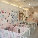 펫트리멍 이미지