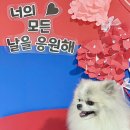 메종드레오