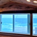 제주마중 판포 이미지