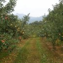 국립농산물품질관리원 문경사무소 이미지