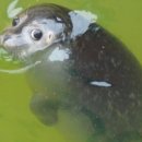 하누식당 이미지