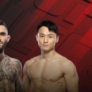 타이거 댄 태권도 이미지