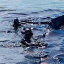 (주)모리셔스 이미지