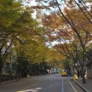 고척삼환로즈빌 이미지