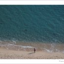 바다의향기 이미지