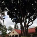 비거농장 이미지