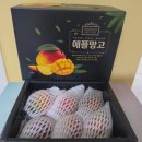 그린-팜한우농장 | 제주애플망고 직접 먹어봤어요 | 비오그린팜 산지직송 (가격·배송·맛 총정리)