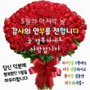 세상 사는 이야기 이미지