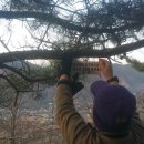 삼천포도서관 이미지