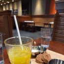 프리즈마썬더 | [서현] 아웃백 분당 ak점 런치메뉴 추천, 내돈내산 후기