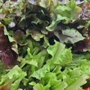 효림농장 이미지