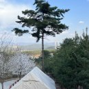 알프스농원 캠핑장 | 포천 가래골농원캠핑장 알프스 A구역 다녀온 후기!!