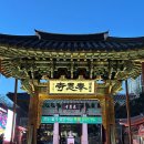 미륵 | 봉은사 방문후기 : 미륵대불 &amp; 연회다원 탐방, 겨울밤 사찰 산책