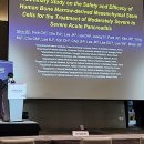 생명의줄기 이미지