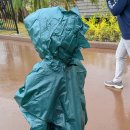 한 타 정 비 | 오키나와 정글리아 정글리안 아이랑 비 오는날 우비 후기