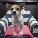 사림동 사격장 이미지