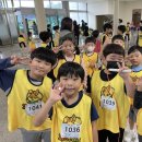 덕정 품태권도장 이미지