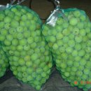 영흥농장 이미지