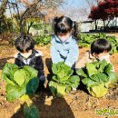 푸르지오숲어린이집 이미지