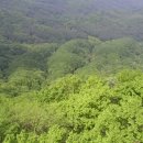 축령산계곡유원지