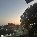 네모약국 | [태국] 2일차 네모러닝실패 + 수영 + 쇼핑