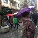 LAS(라스) 이미지