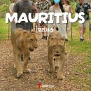 31140-3-93-42 | 광주 신혼여행 여행사 투어스테이_모리셔스 허니문 후기