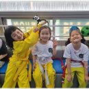 블랙 타이거 태권도장 이미지